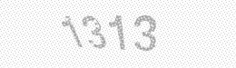 Visual security code — type the characters shown in the image